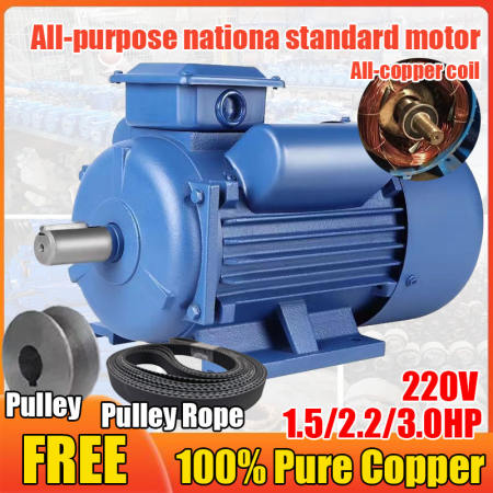 Japan 1.5HP 220V Induction Motor for Food Processing