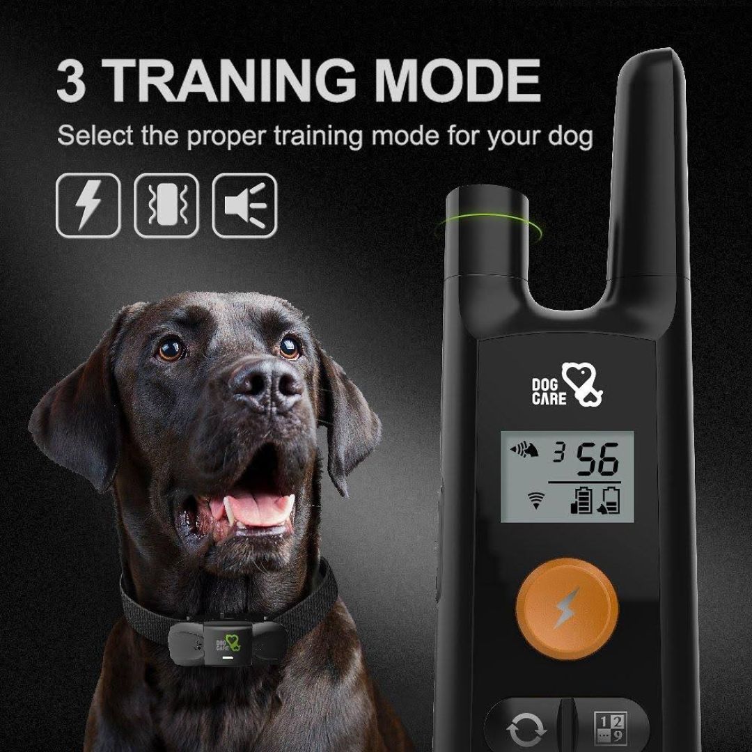 Modern Homey Dog Training Collar with Remote Dog Accessories