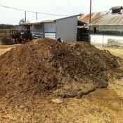 DRIED COW MANURE PURE - 1KILO