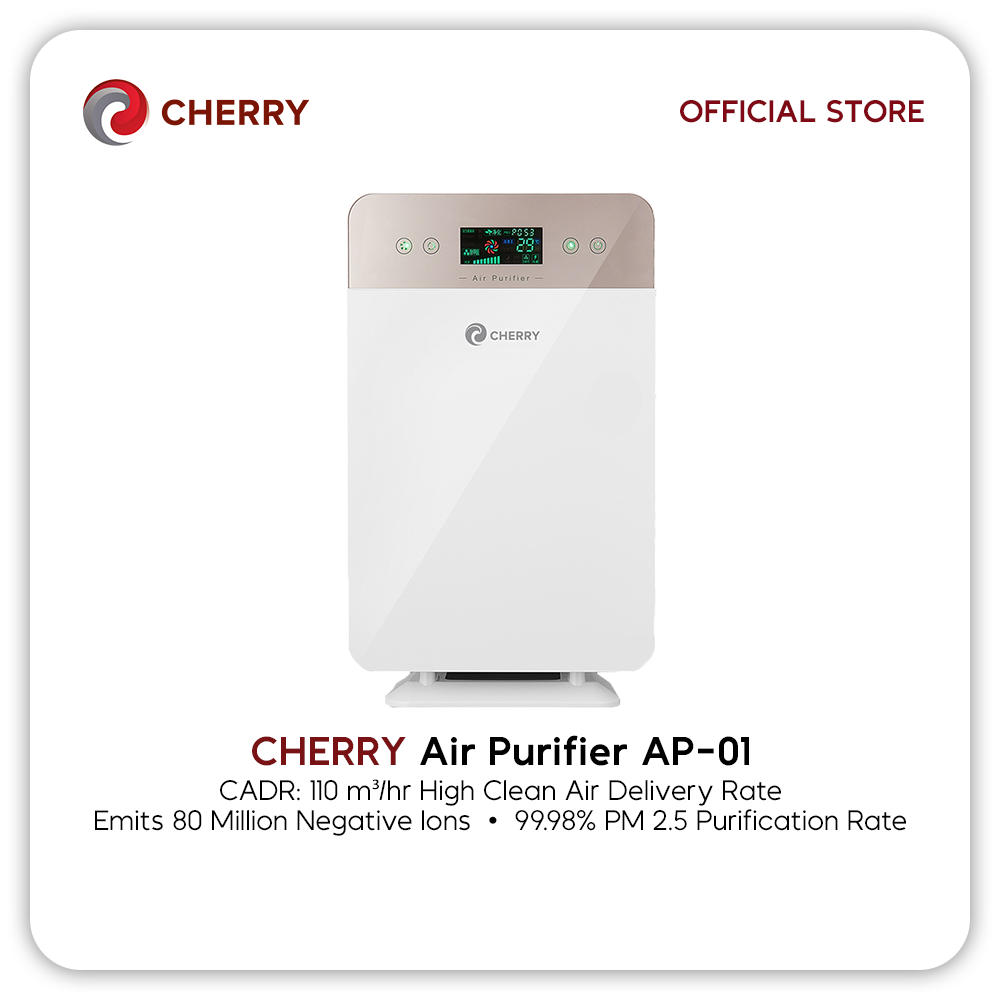 Cherry mobile ionizer with on sale air purifier and humidifier