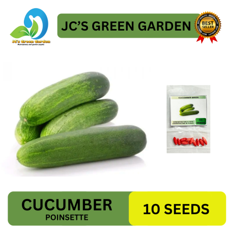 High Yielding Cucumber Seeds - 10pcs, Easy to Grow