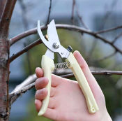 Stainless Steel Pruning Shears - High-Quality Gardening Tools