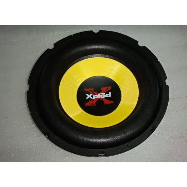 ❄10 inch Sony Speaker Dual Magnet 