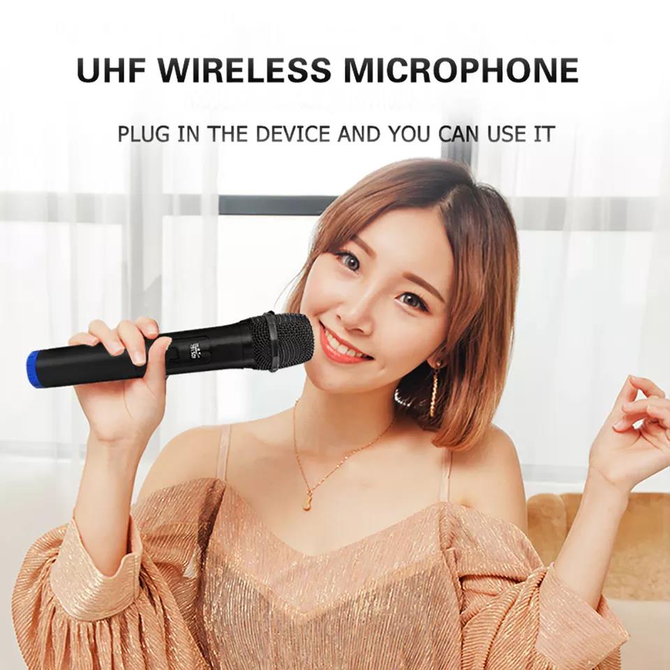 professional Wireless microphone dual handheld. Professional