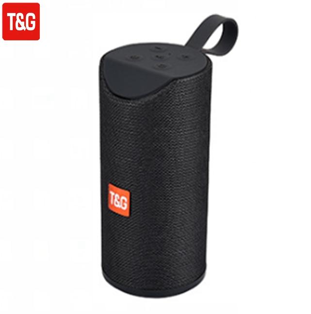 t & g speaker