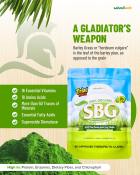 Salveo Barley Grass Powder: Control Cholesterol, Blood Pressure, Blood Sugar