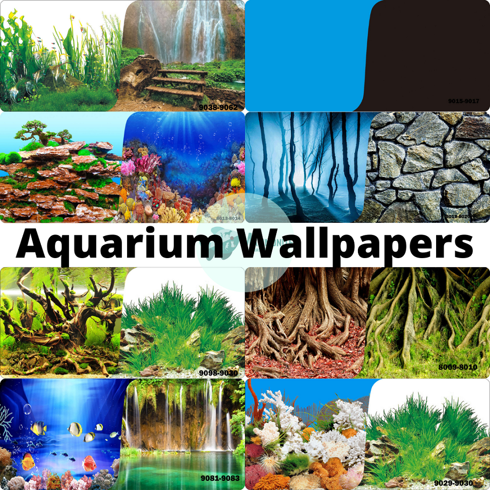 Fish Tank Aquarium Background 3D Vortex Science Fiction Relic Reptile  Habitat Decorations PVC Poster Sticker Printing Wallpaper - AliExpress