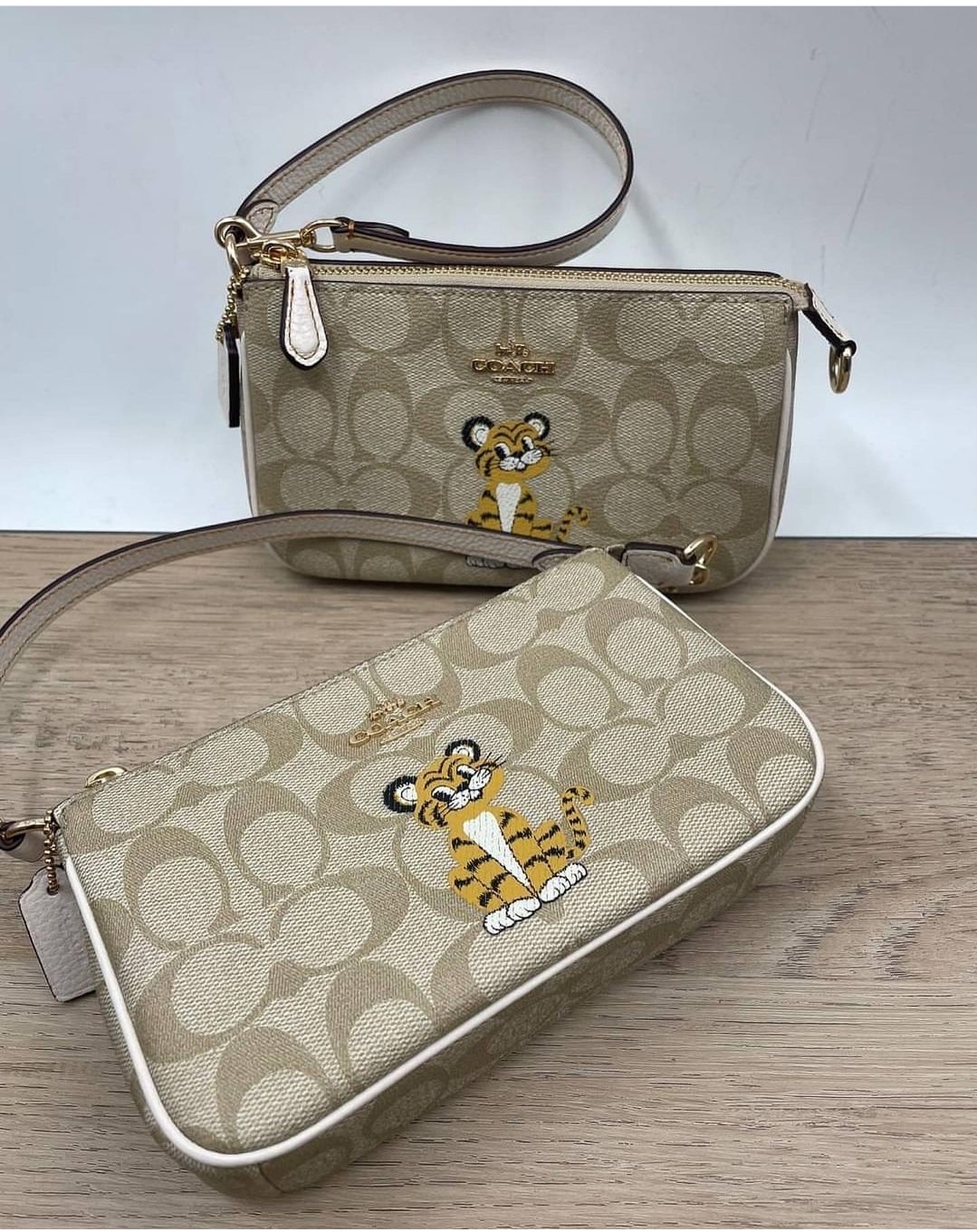 Coach Nolita 19 in Signature Canvas with Tiger