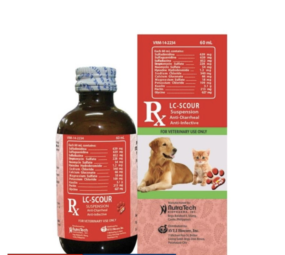 Can You Give Dogs Anti Diarrhea Medicine