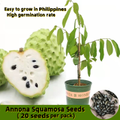 Dwarf Hybrid Sweet Annona Squamosa Seeds Fruit Seeds for Planting Atis Sugar Apple Annona Squamosa Fruit Tree Seeds Rare Bonsai Seeds Indoor Plants Seeds Outdoor Live Plants for Sale Real Plants Gardening Fruit Tree Seedlings