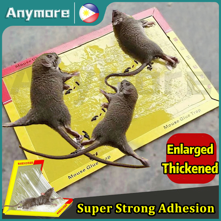 LARGE Mouse Traps Rat Mice Rodent Killer Snap Trap Reusable Heavy Duty Pest  Tra