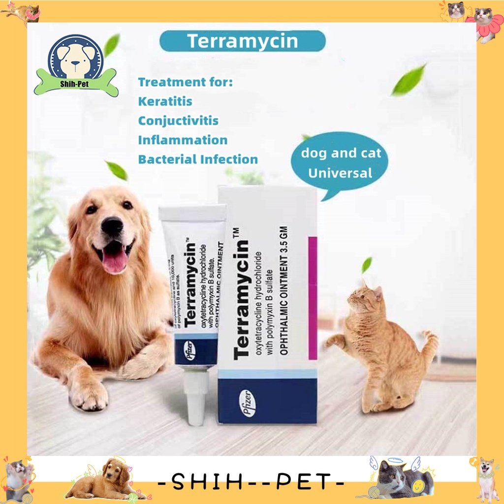 Can Erythromycin Ophthalmic Ointment Be Used On A Dog