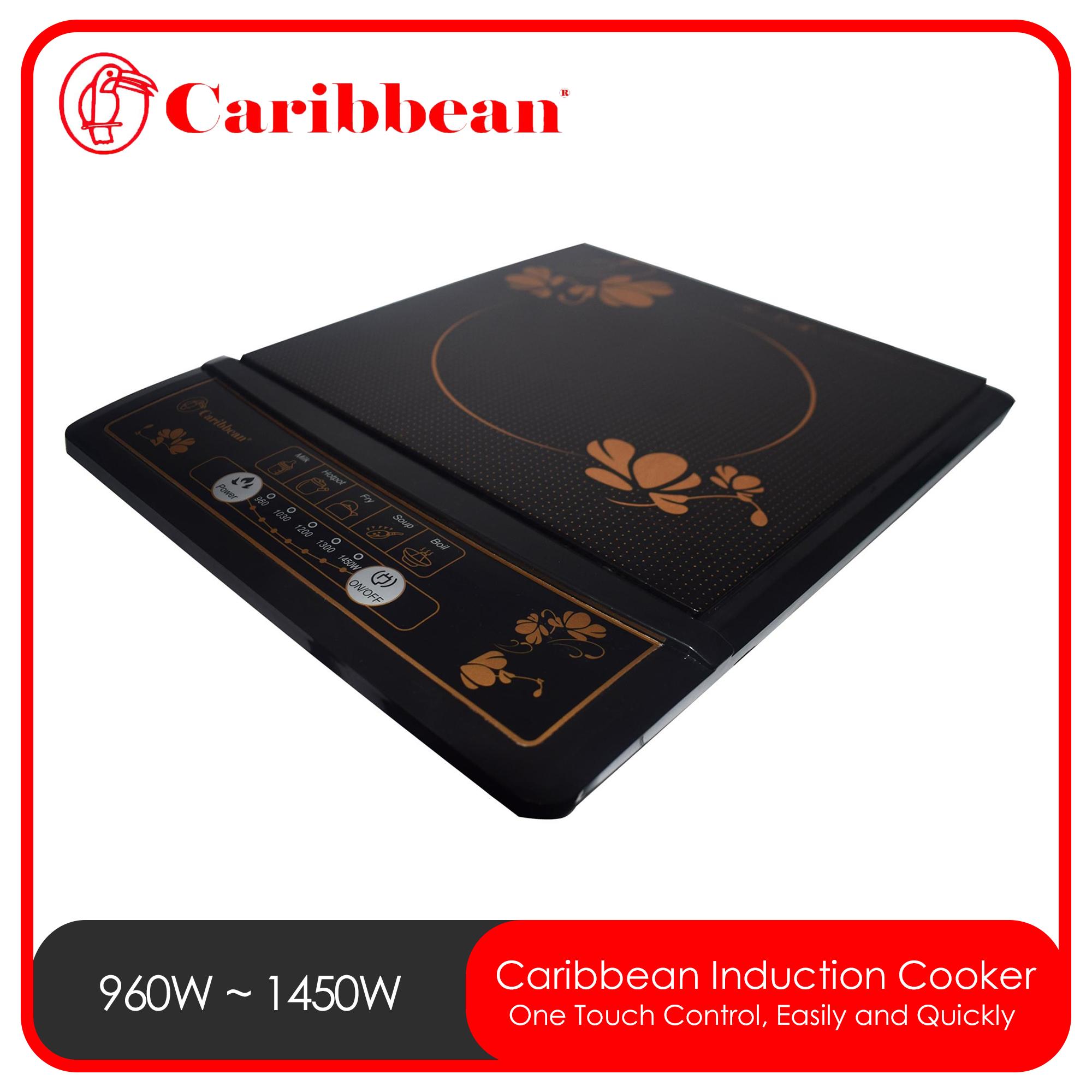 Caribbean induction store cooker