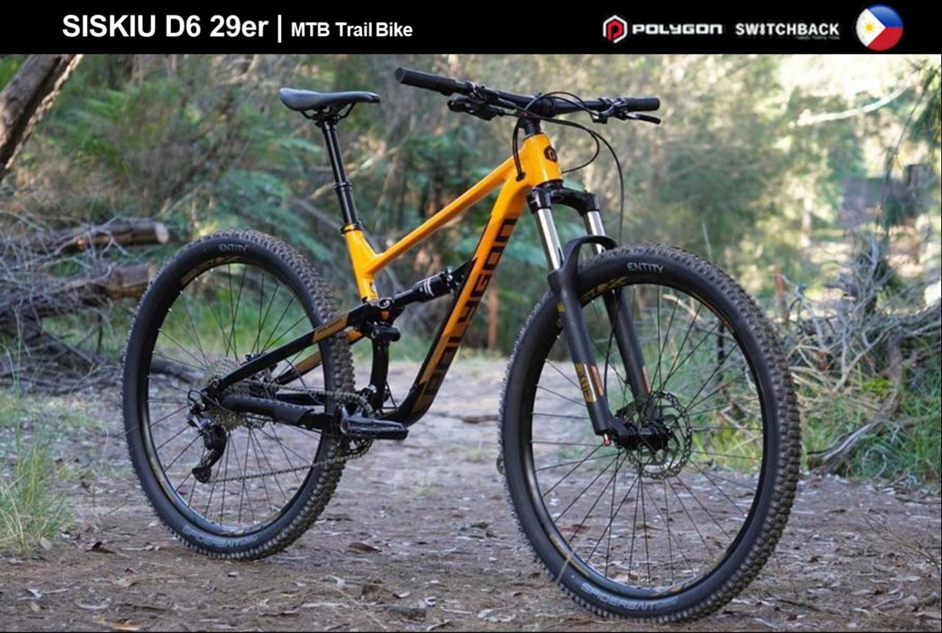 Dual Suspension Mountain Polygon D6 2020 Polygon Siskiu D6 XC