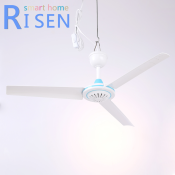 Risen smart home DC 12V ceiling fan