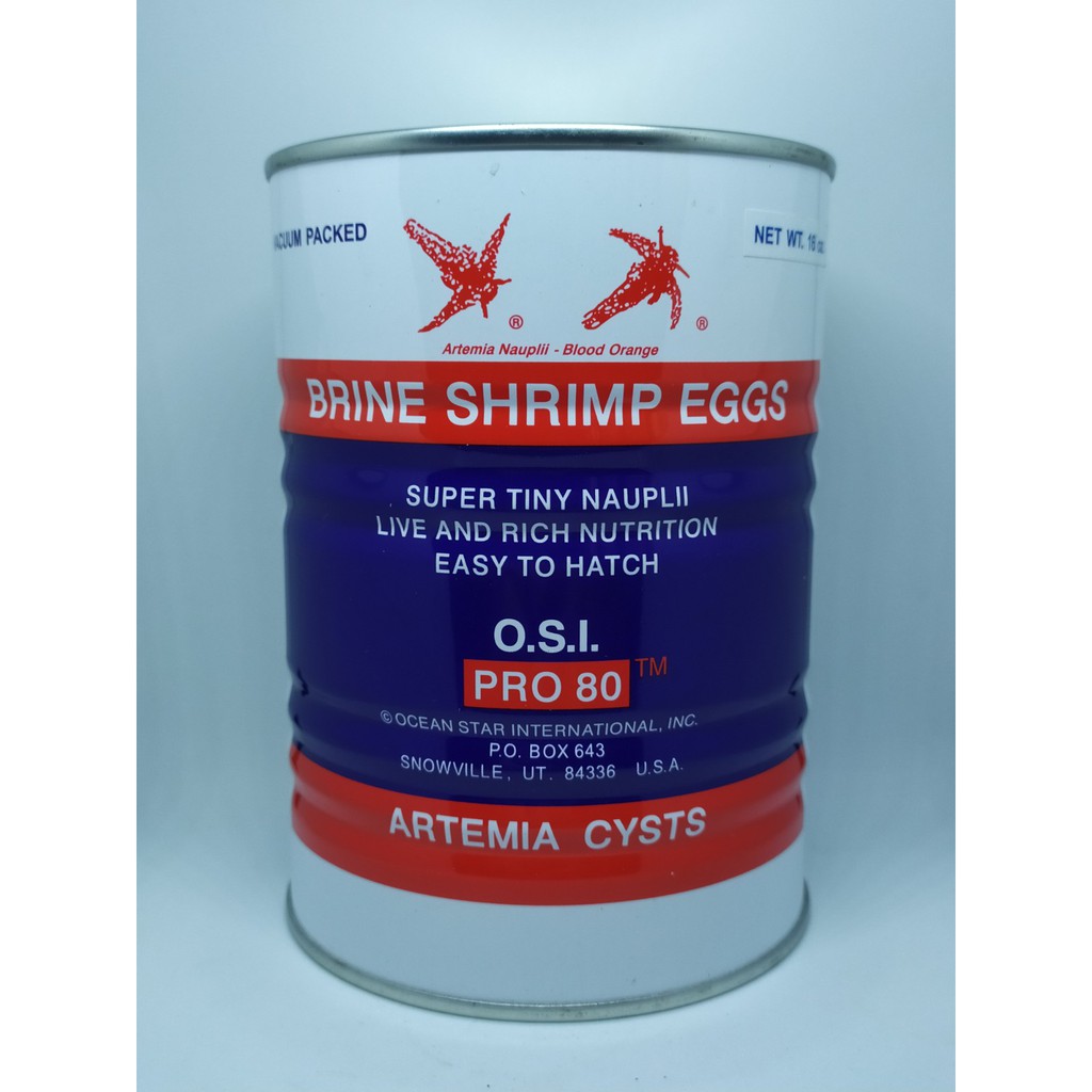 bbs brine shrimp