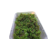 AZOLLA 500ml AQUATIC PLANTS 300 GRAMS