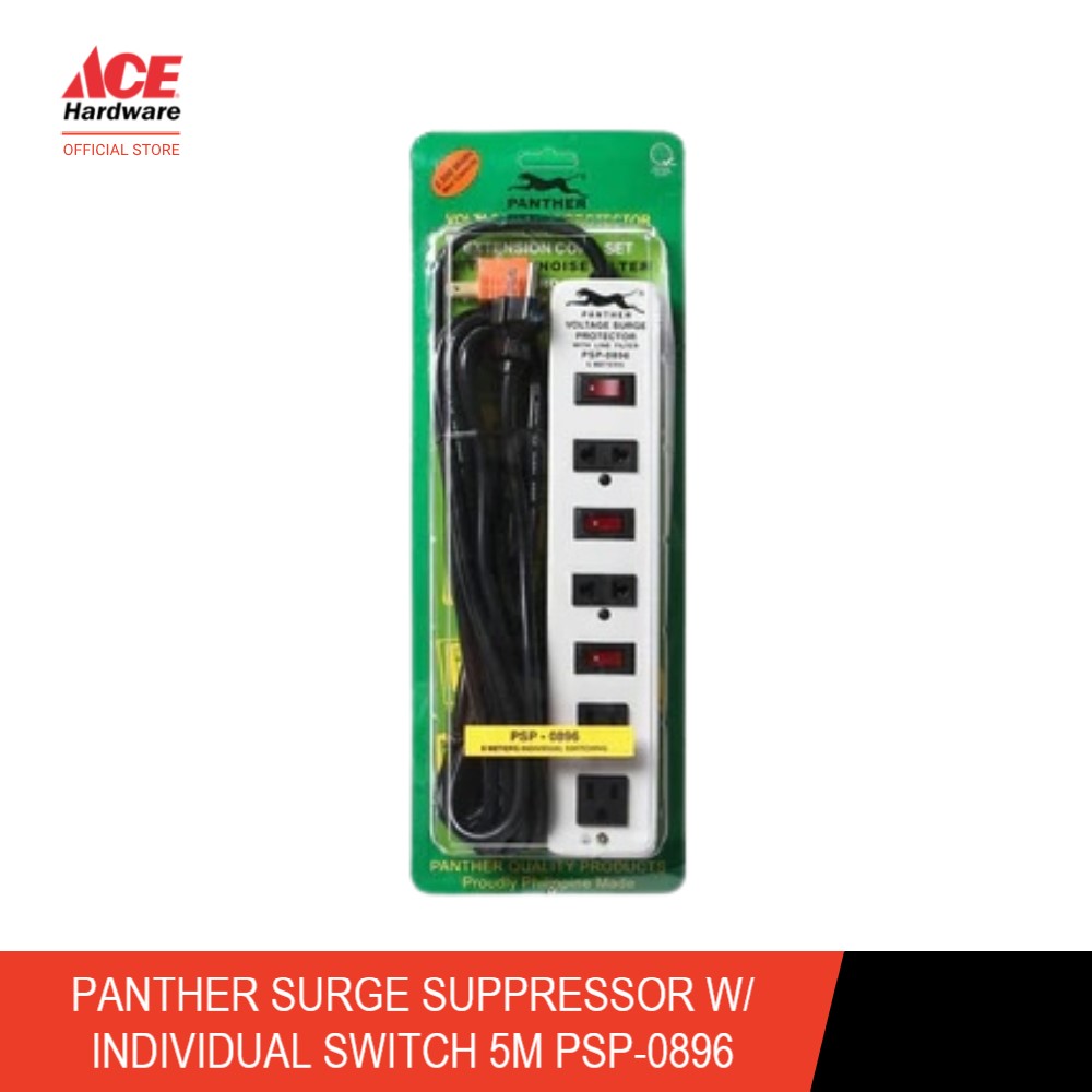 Panther Surge Protector with Ground (3 Meters) - PSP-1202 – AHPI