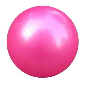 SK Exercise Fitness Aerobic Yoga Ball (Pink) | Lazada PH