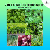 7 in 1 Assorted Herbs Seeds Sulit Pack