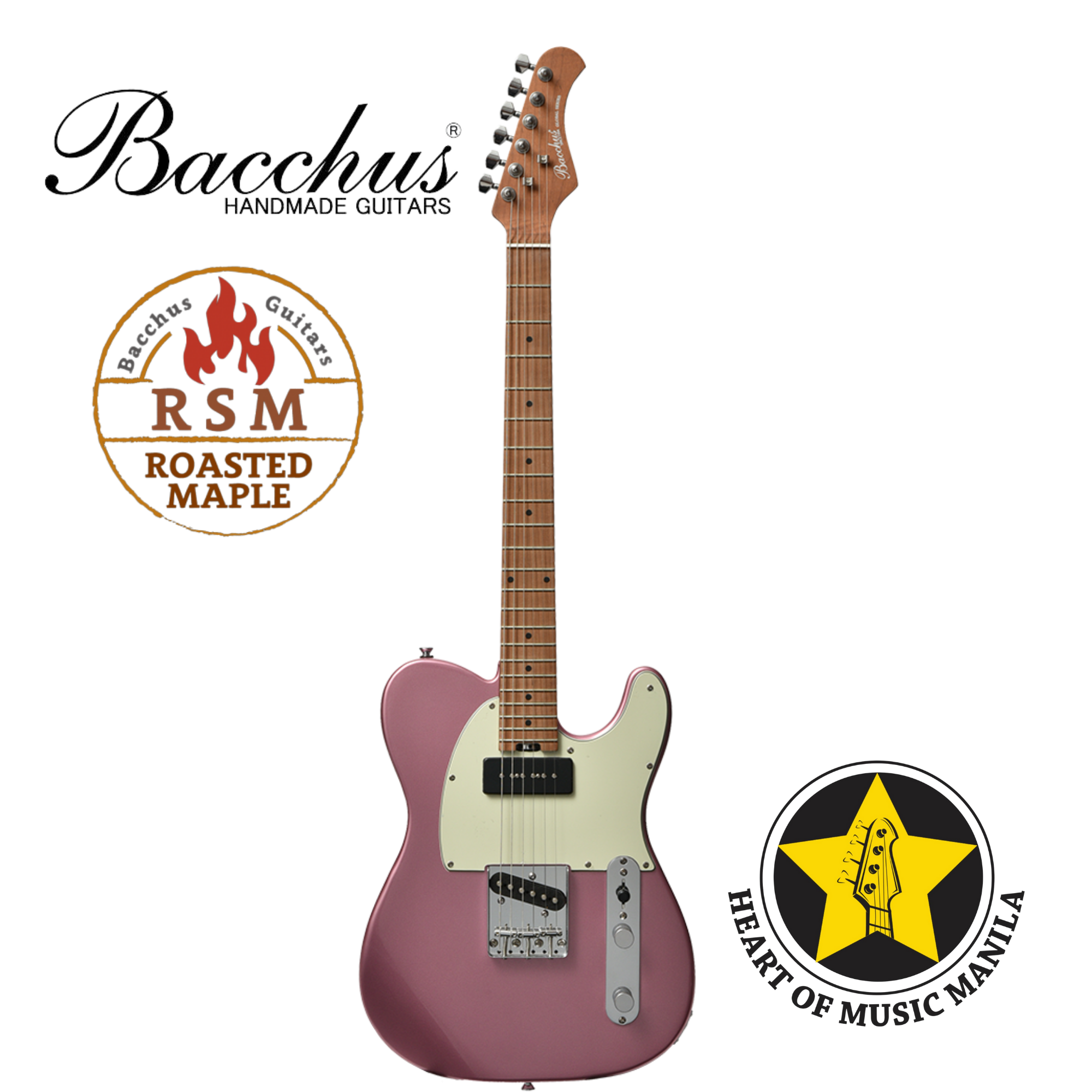 Bacchus テレキャスター GLOBAL Series ハンドメイド バッカス