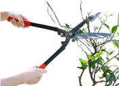 GARDENSCISSOR Grass Cutter - Home Gardening Tool
