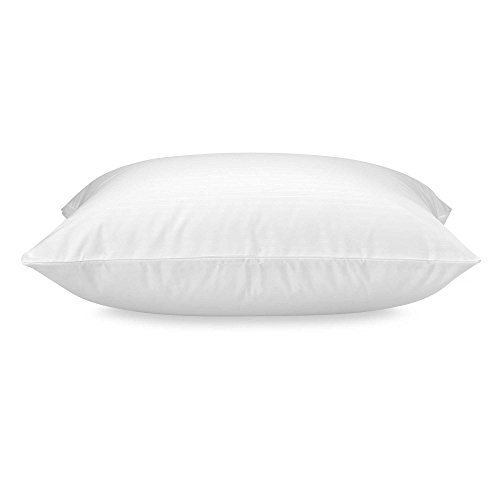 claritin embossed pillow