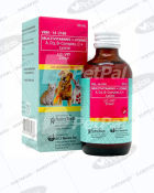 PINTAKASI NutraTech LC-VIT Syrup - Multivitamins + Lys