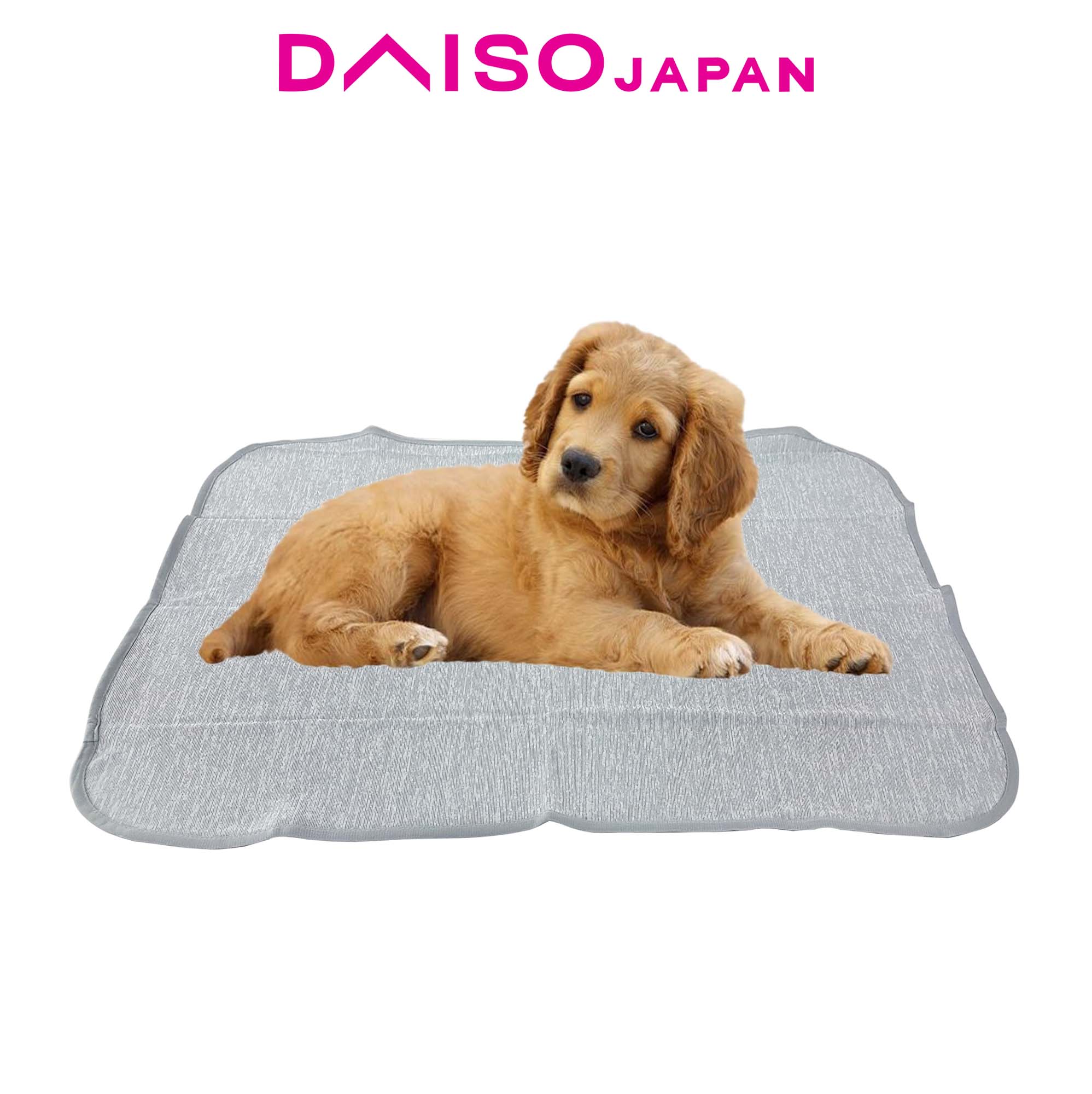 Daiso dog outlet bed