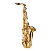 Muslady AS100 Eb Alto Saxophone with Carry Case and Accessories