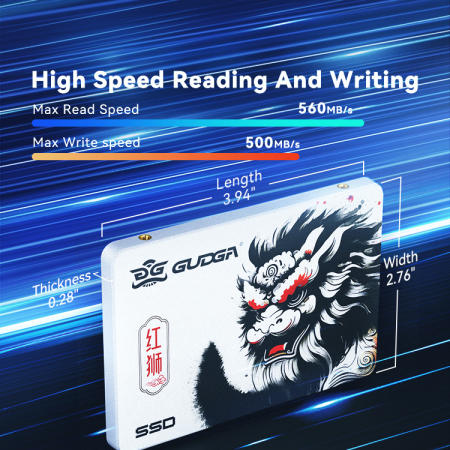 GUDGA 256GB SATA SSD for Laptop/Desktop Computers