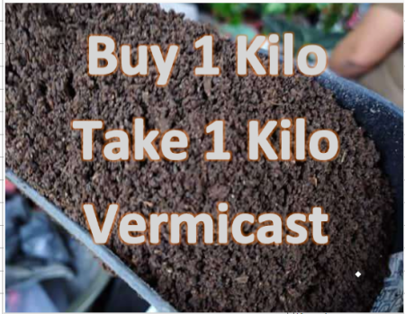 Buy 1 kilo Take 1 kilo Vermicast Fertilizer