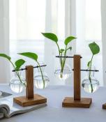 Terrarium Table Desk Planter Hydroponic Plant Vases Bulb Glass Indoor Flower Vase With Wooden Stand