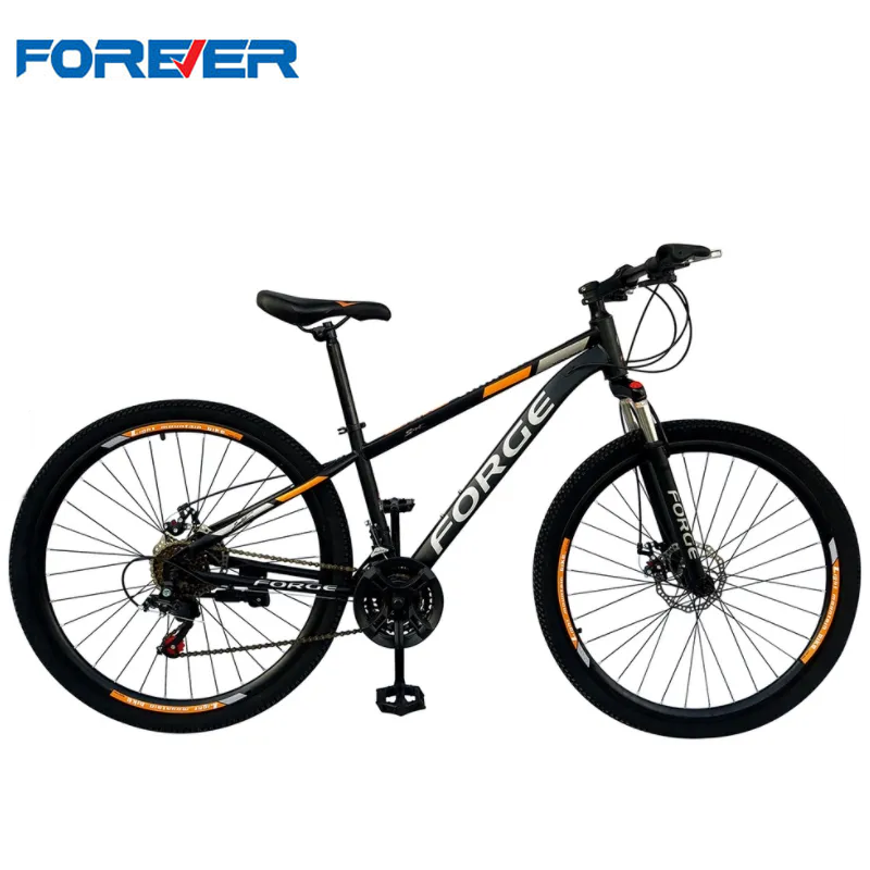 Lazada 2024 bike price