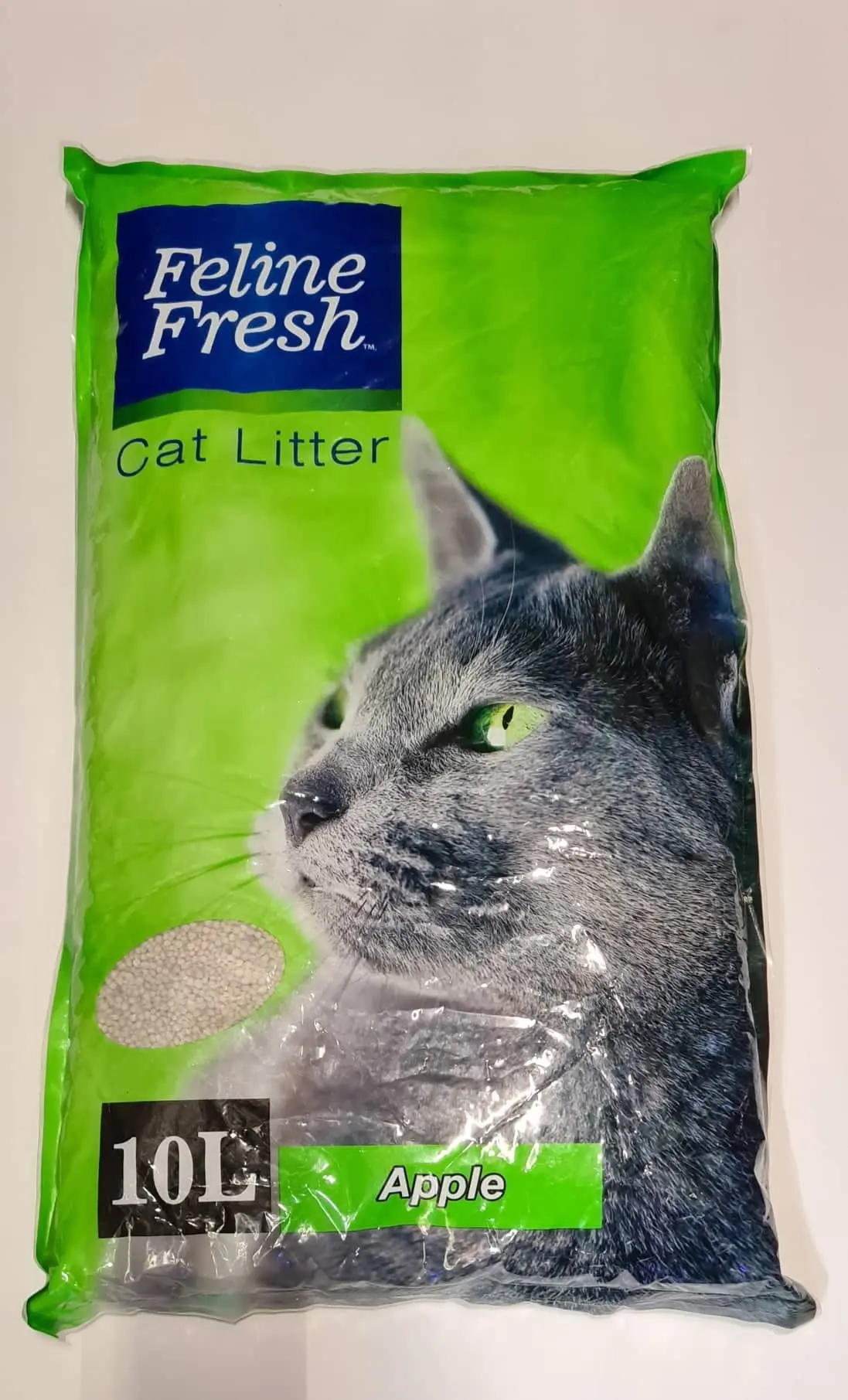 fresh cat