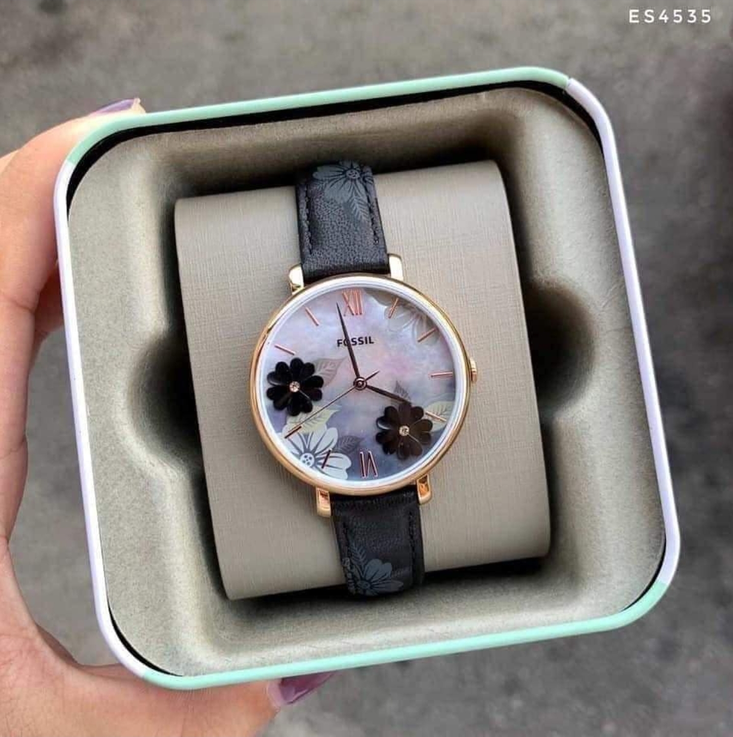 Authentic Fossil Jacqueline Quartz 