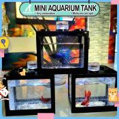 Renna's Mini Betta Fish Tank Decoration