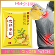 HERBAL GINGER PATCHES - Pain Relief for Body Pain