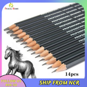 Kasimir Professional Graphite Sketching Pencils Set for Drawing