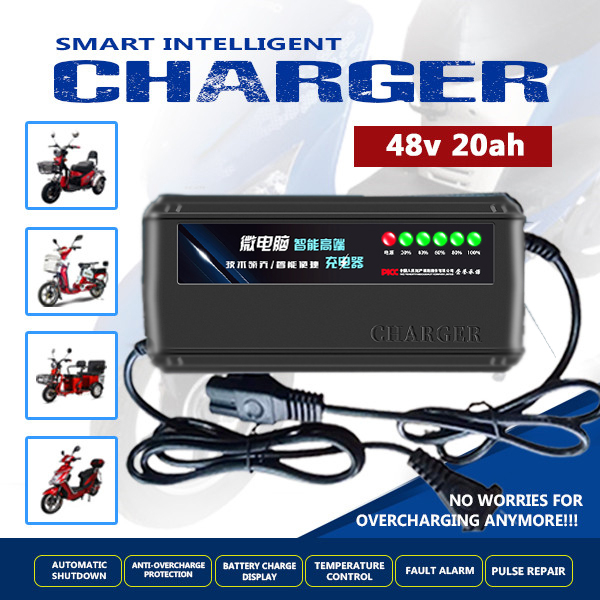 Ebike battery charger discount 48v