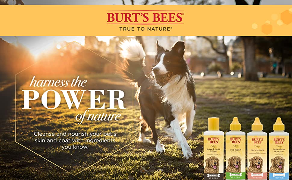 Burt's bees tear stain remover sale