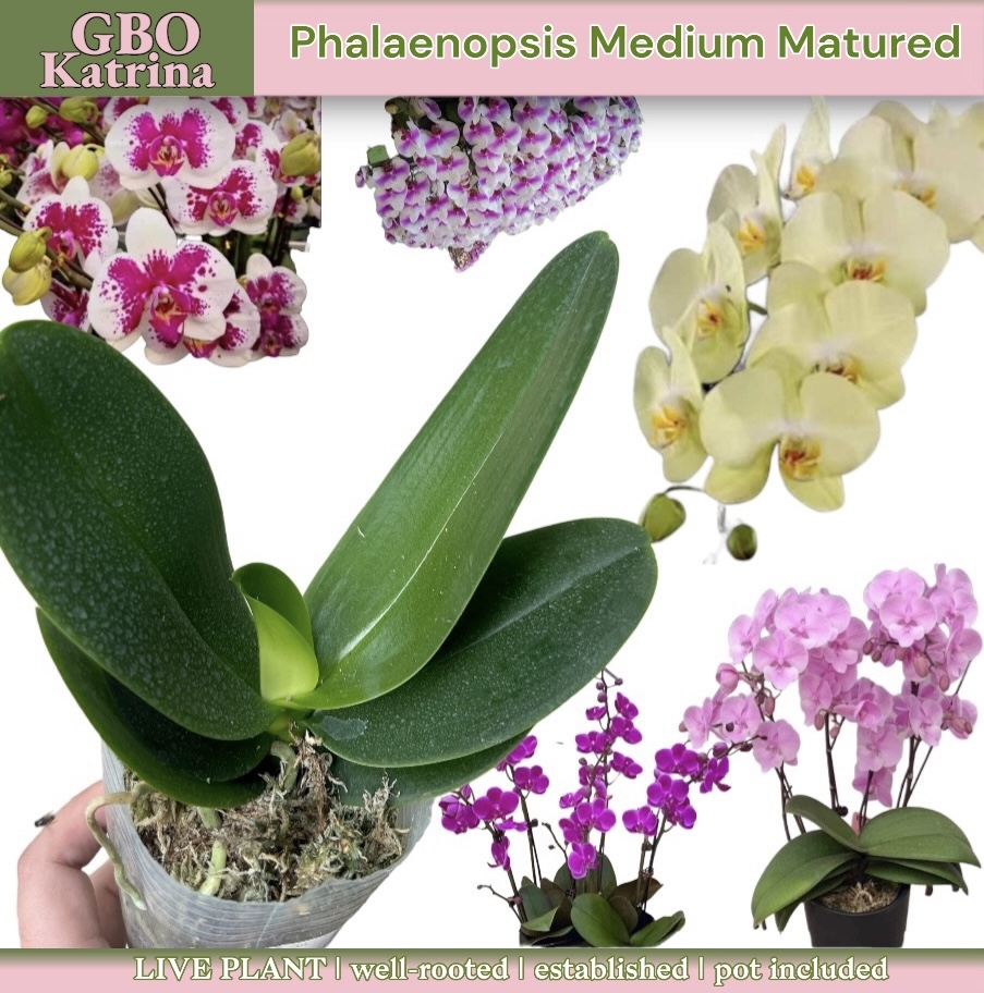 Berkova bilan faqat rus porno Yalangoch Bitsie Talloch