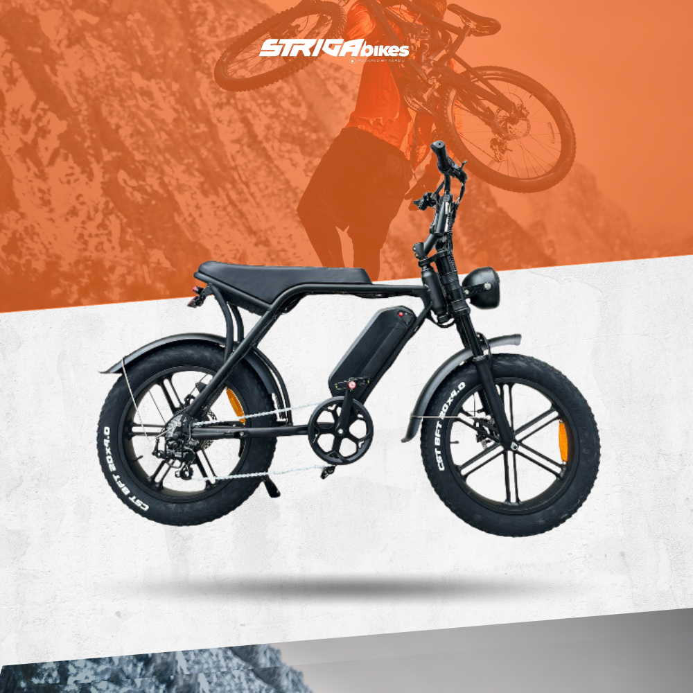 Ricci PRO Cafe Racer Type E-Bike 750-1000W 20er 48V15Ah E-Bike