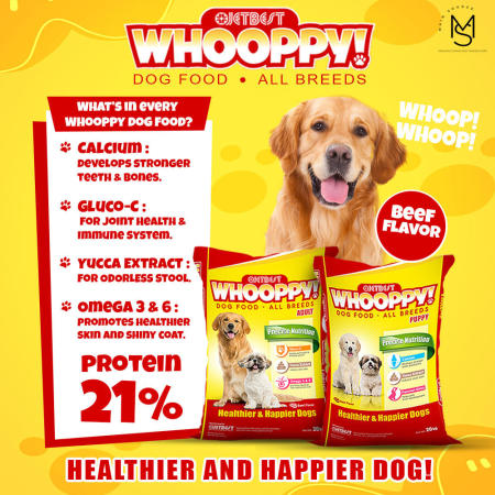 Whooppy Puppy and Adult Dog Dry Food For All Breeds