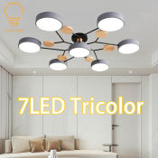 Nordic Modern Chandelier Ceiling Light for Living Room/Bedroom