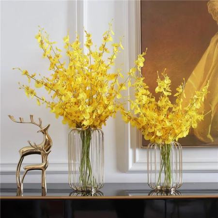 Nordic Iron Vase Golden Hydroponic Vase Glass Vase for Decoration Living Roomdining Table Tabletop Decoration