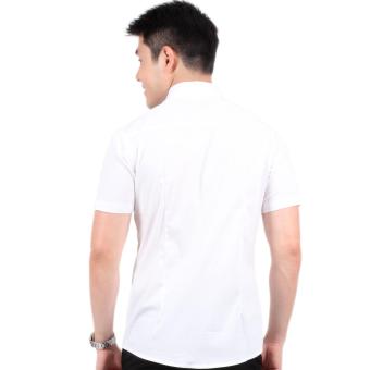 Attraxion Dean Embroidered Pattern Polo For Men (White) July 2018 - 3 Attraxion Dean Embroidered Pattern Polo for Men (White) - 3