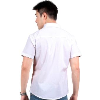 Attraxion Laurence Floral Placket Polo For Men (White) June 2018 - 3 Attraxion Laurence Floral Placket Polo for Men (White) - 3