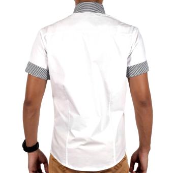 Attraxion Samuel Striped Collar Polo For Men (White) April 2018 - 5 Attraxion Samuel Striped Collar Polo for Men (White) - 5