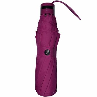 Fibrella Umbrella F00306 (Red Violet) June 2018 - 4 Fibrella Umbrella F00306 (Red Violet) - 4